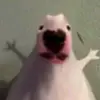 yokum - @doramoss_ - TikTok