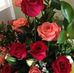 Dora Najera - Facebook