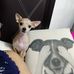 Dora Najera - Facebook