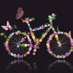 Dora Nolasco - Facebook
