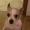 Adora Oatman - @4sadida - TikTok