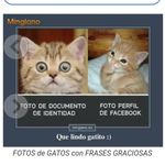 Dora Alicia Obregon - @doraaliciaobregon - Instagram