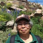 Dora Isabel Obregon - @gammy_dora - Instagram