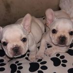 Dora Ocampo Gil - @doraocampogil - Instagram