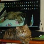 dora ocampo rozo - @doraocamporozo - Instagram
