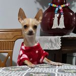 Bibi Dora - @bibi_dora_olave_conce - Instagram