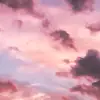 Dora,Oliver,Mack - @the3_of_us - TikTok