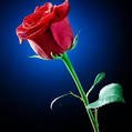 Dora Olvera - Facebook