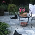 Dora Orr - Facebook