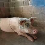 Dora Ortuño - Facebook