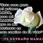 Dora Osorio - @dora.osorio.5688 - Instagram