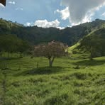 Dora Ospina - Facebook