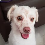 Dora Ospina - @ospinadora - Instagram