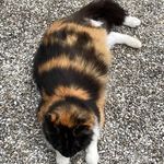 Dora Luz Ossa - @ossadoraluz - Instagram
