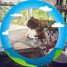 Dora Luz Ossa - Facebook
