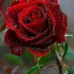 Dora Osuna - Facebook