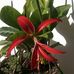 Dora Ana Otto - Facebook