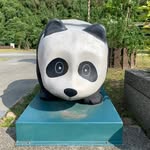 doraotto - @doraotto0507 - Instagram