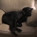 Dora Owen - @dora.owen.7545 - Instagram