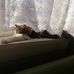 Dora Owen - Facebook
