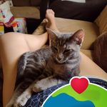 Dora Alicia Palacios - @dora.palacios1974 - Instagram