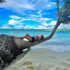 Dora Palacios - @_dorapalacios_ - TikTok