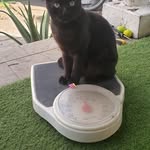 Dora Palma - @dora.palma.104 - Instagram