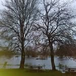 Dora Palma - @dora5370 - Instagram