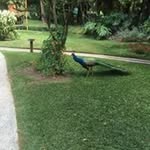 Dora Palma - @dorapalma7512 - Instagram