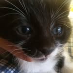 Dora Palma - @dora.palma.52459 - Instagram