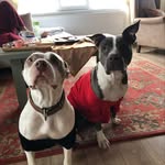Dora & Paris - @dopa.pit - Instagram