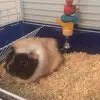 doraparsons871 - @funnykido1234 - TikTok
