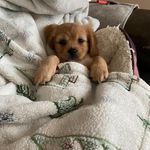 Dora Partida - @dora.partida - Instagram