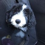 Dora Patrick - @missdorapatrick - Instagram