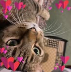 Tera Paulson - Facebook