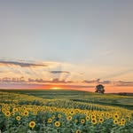 Dora Payne - @dorapayne67 - Instagram