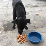 Dora Pelaez - @pelaez479 - Instagram