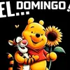 Dora pelaez - @dorapelaez1 - TikTok