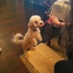 Dora Pena - @dora.pena.9883 - Instagram