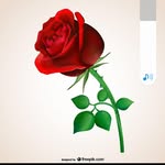 Dora Maria Jimenez Peñate - @doramariajimenezpenate - Instagram
