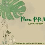 Dora Peralta - @floranapraia - Instagram