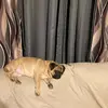 Dora Peters - @dora.peters3 - TikTok