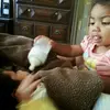 Dora Peters - @dorapeters7 - TikTok