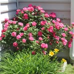 Dora Peters - Facebook