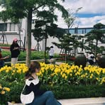 Dora Phan - Facebook