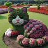 PET CUTE - @doraphan82 - TikTok