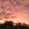 Phandora - @phandoraphan - TikTok