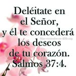 Dora Fidelia Porras - @dorafidelia - Instagram