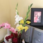 Dora Richardson - @richardson_dora - Instagram