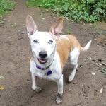 Dora🐾 - @dora_riley_x - Instagram